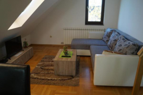 Duplex Carlos
